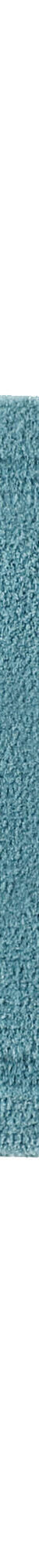 Tapis de bain qualité hôtelière 2100 g/m² (lagon) Tapis de bain qualité hôtelière 2100 g/m² (lagon)